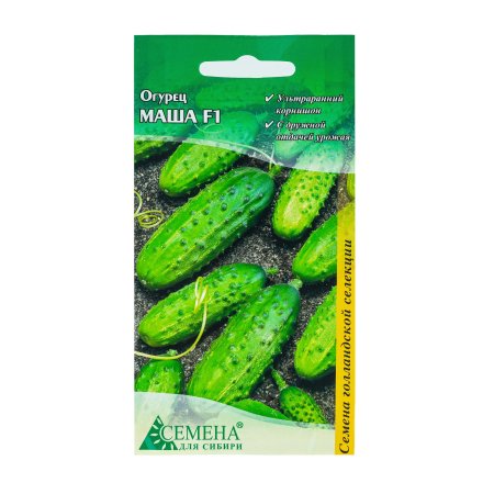 Семена огурца Маша  Семена для Сибири