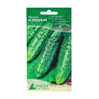 Семена огурца Изящный Семена для Сибири