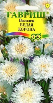 Семена василька Белая корона Гавриш