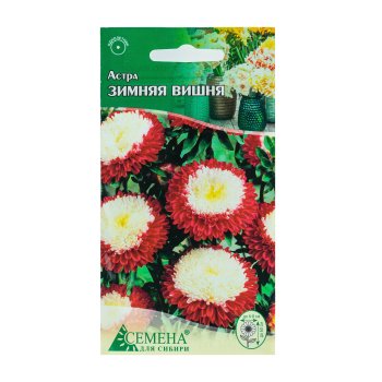 Семена астры Помпонная Зимняя вишня Семена для Сибири