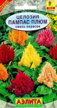 Семена целозии Перистая Пампас Плюс Аэлита