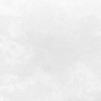 Обои флизелиновые Erismann Profi Deco Veter 60560-02