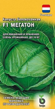 Семена капусты  Мегатон Гавриш