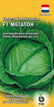 Семена капусты  Мегатон Гавриш
