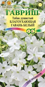 Семена табака Благоухающая гавань белая душистый Гавриш