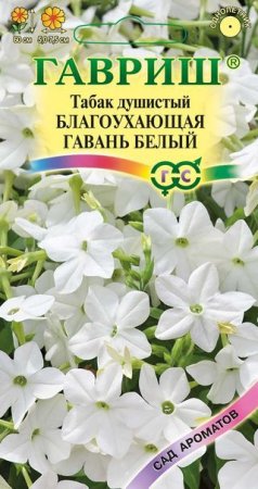 Семена табака Благоухающая гавань белая душистый Гавриш