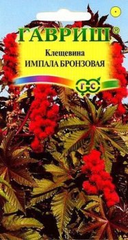 Семена клещевины Импала бронзовая Гавриш