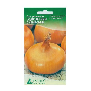 Семена лука Сибирский однолетний Семена для Сибири