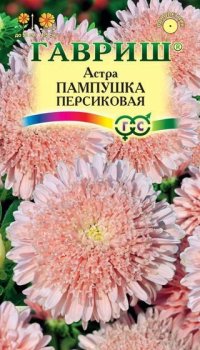 Семена астры Пампушка персиковая Гавриш