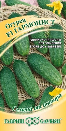 Семена огурца Гармонист Гавриш