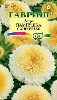 Семена астры Пампушка сливочная Гавриш