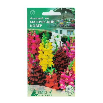 Семена львиного зева  Магический ковёр Семена для Сибири