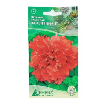 Семена петунии Валентина  Семена для Сибири