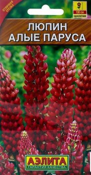 Семена люпина Алые паруса Аэлита