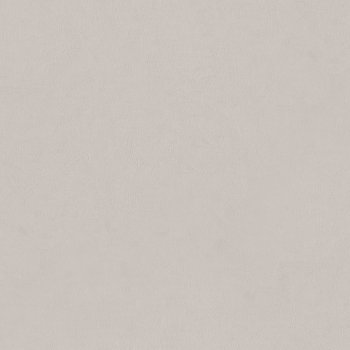 Обои флизелиновые Euro Decor Atlas 7240-12