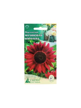 Семена подсолнечника Малиновая королева Семена для Сибири