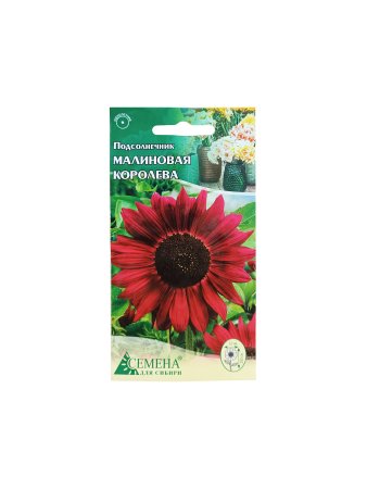 Семена подсолнечника Малиновая королева Семена для Сибири