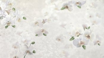 Обои флизелиновые Elysium Элис Е106702