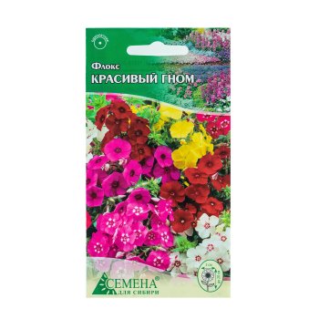 Семена флокса Красивый гном Семена для Сибири