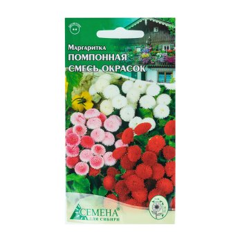 Семена маргаритки Помпонная смесь Семена для Сибири