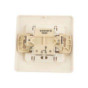 Выключатель встраиваемый Schneider Electric Blanca 2 кл. молочный без подсветки