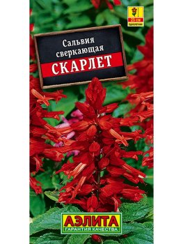 Семена сальвии Скарлет сверкающая Аэлита