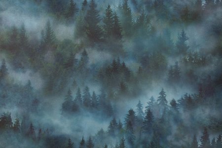 Обои флизелиновые HomeColor  My Forest 71960-67