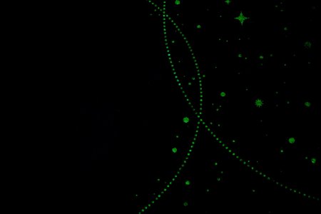 Обои флизелиновые HomeColor  Universe HC72367-44