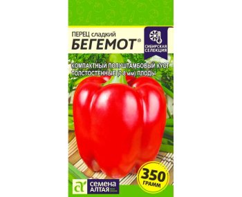 Семена перца Бегемот Алтай