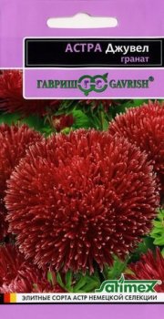 Семена астры Джувел Гранат Гавриш