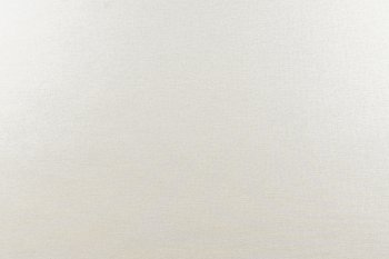 Обои флизелиновые Erismann Basic 60095-02