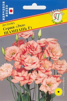 Семена эустомы Эхо Шампань Престиж