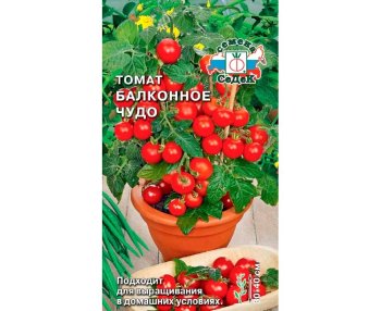 Семена томата  Балконное чудо Седек