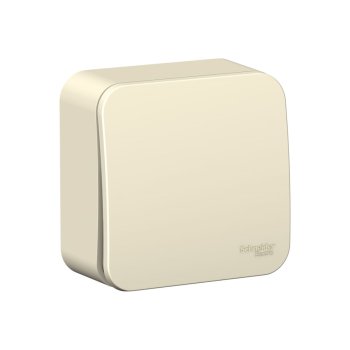Выключатель накладной Schneider Electric Blanca 1 кл. молочный без подсветки