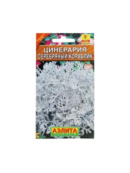 Семена цинерарии Серебряный кораблик Аэлита