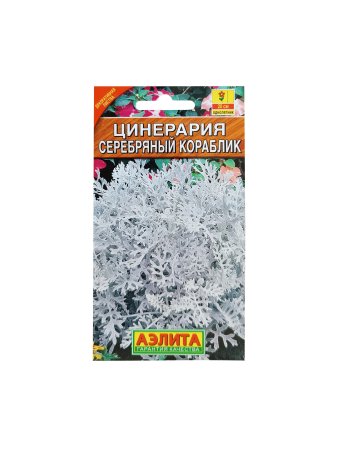 Семена цинерарии Серебряный кораблик Аэлита