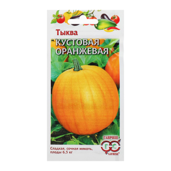 Семена тыквы Кустовая оранжевая Гавр