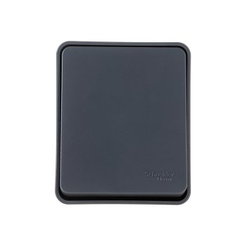 Выключатель накладной Schneider Electric AtlasDesign Profi54 1 кл. антрацит без подсветки