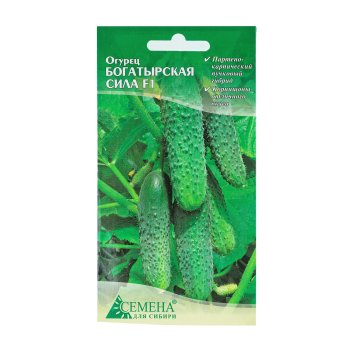 Семена огурца Богатырская сила Семена для Сибири