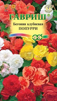Семена бегонии   Попурри Гавриш