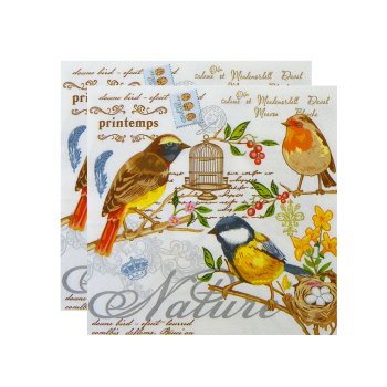 Салфетки бумажные Antella Art Bouqet 33х33см 20шт