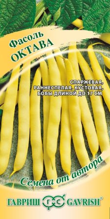 Семена фасоли Октава Гавриш