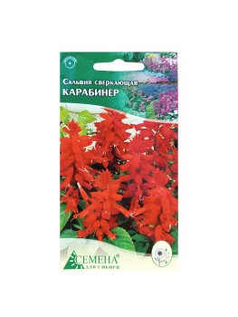 Семена сальвии Карабинер сверкающая Семена для Сибири
