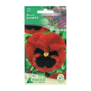 Семена виолы Кларет  Семена для Сибири
