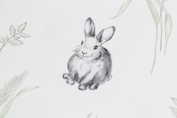 Обои флизелиновые VOG Collection Funny Bunny VV72059-11