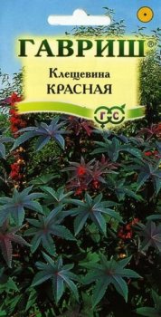 Семена клещевины Красная Гавриш