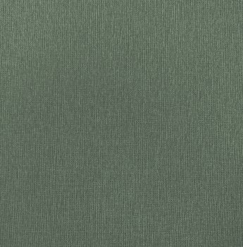 Обои флизелиновые Erismann Richard 60833-08