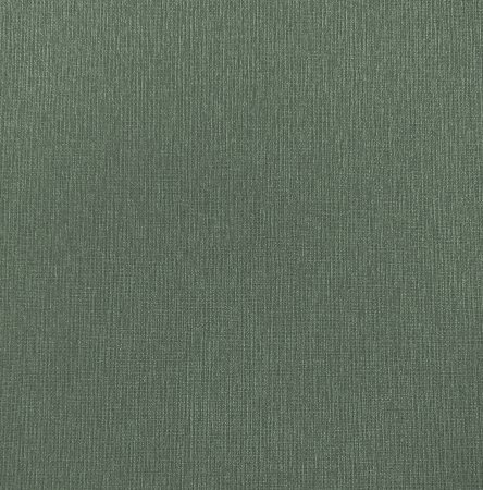 Обои флизелиновые Erismann Richard 60833-08