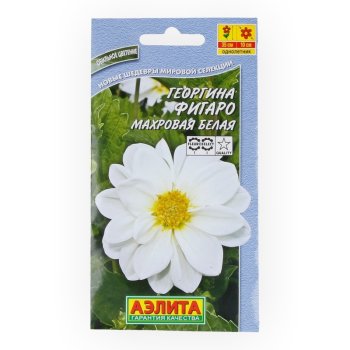 Семена георгина Фигаро белый махровый  Аэлита