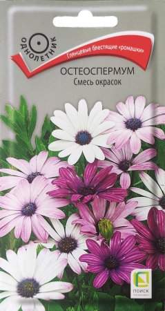 Семена остеоспермума Смесь окрасок Поиск